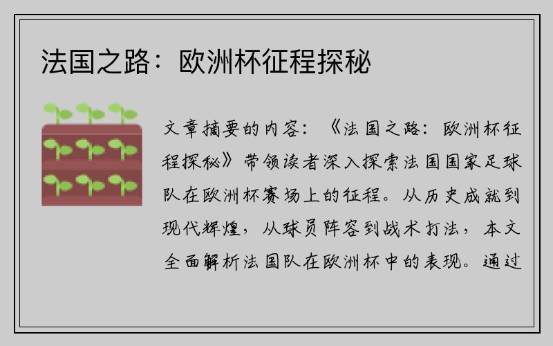 法国之路：欧洲杯征程探秘